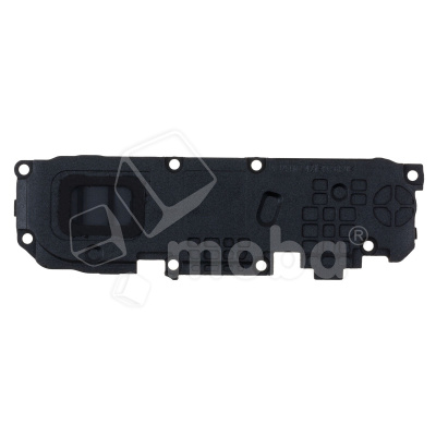 BUZ-REAL-C21-CP