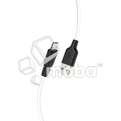 DTC-LTG-HCO-X21-PLS-W