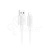 DTC-LTG-HCO-X107-W_1