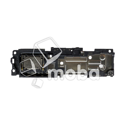 BUZ-INX-NT-40-PR-PLS-5G-CP