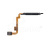 FPC-XMI-RMINT-10S-FP-W_1 FPC-XMI-RMINT-10S-FP-W_1