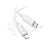 DTC-TCTC-HCO-X107-W DTC-TCTC-HCO-X107-W