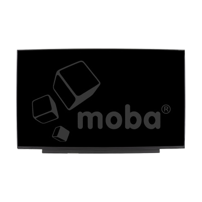 MTX-173-MT-B173RTN032HW0AFW1_1